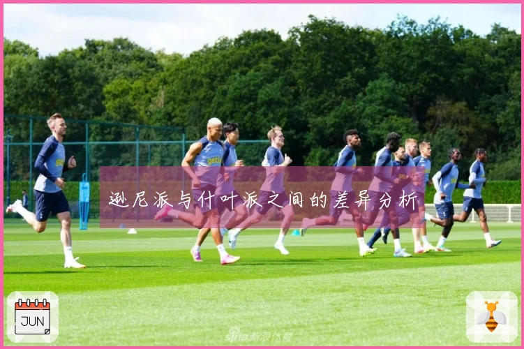 逊尼派与什叶派之间的差异分析