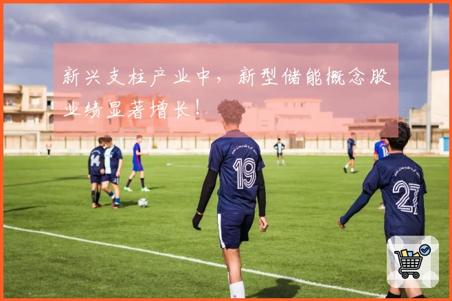 新兴支柱产业中，新型储能概念股业绩显著增长！