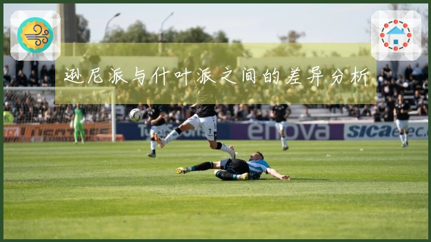 逊尼派与什叶派之间的差异分析