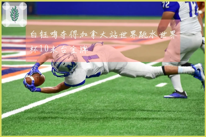 白钰鸣夺得加拿大站世界跳水世界杯10米台金牌